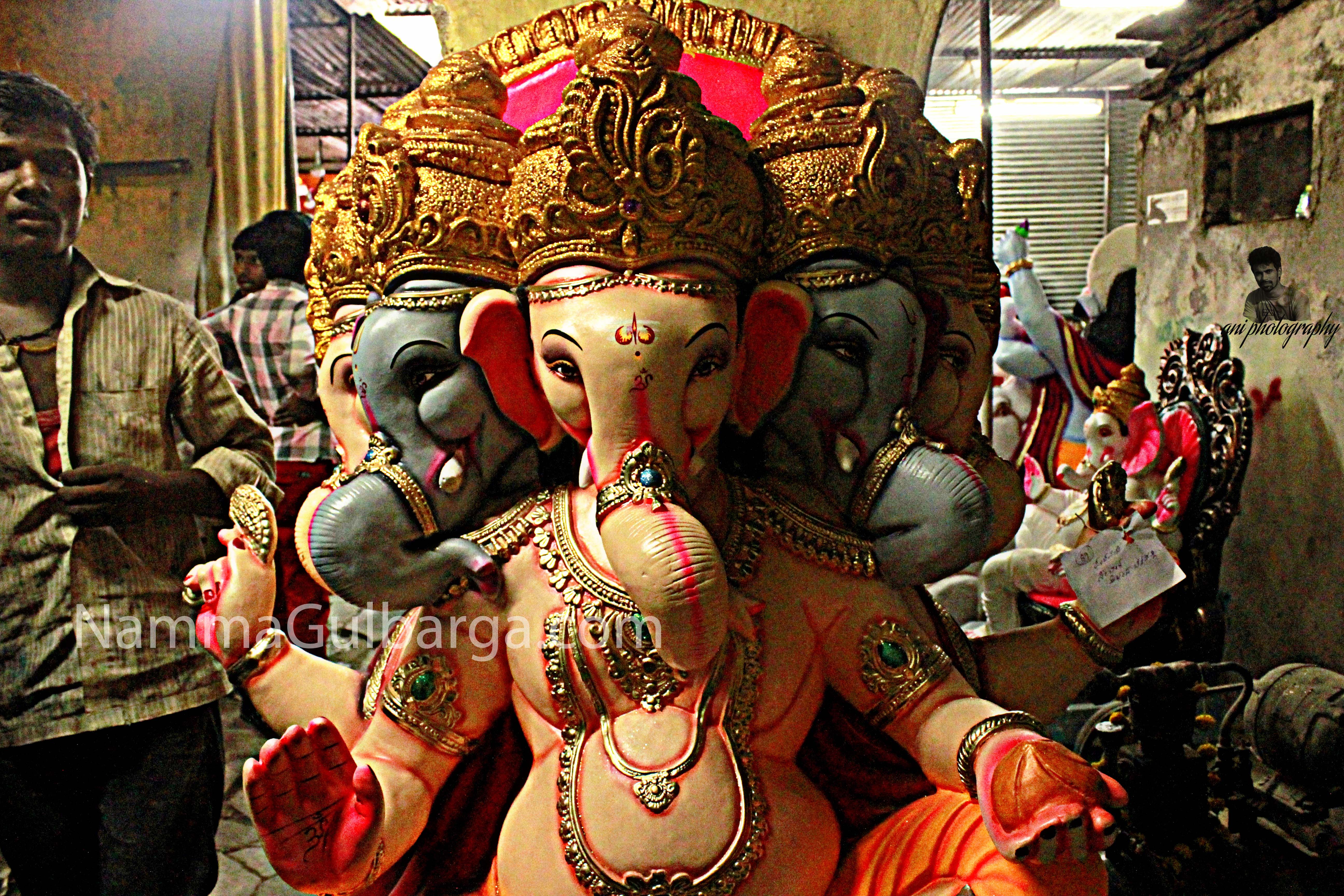 Kalaburagig Ganesh (10)
