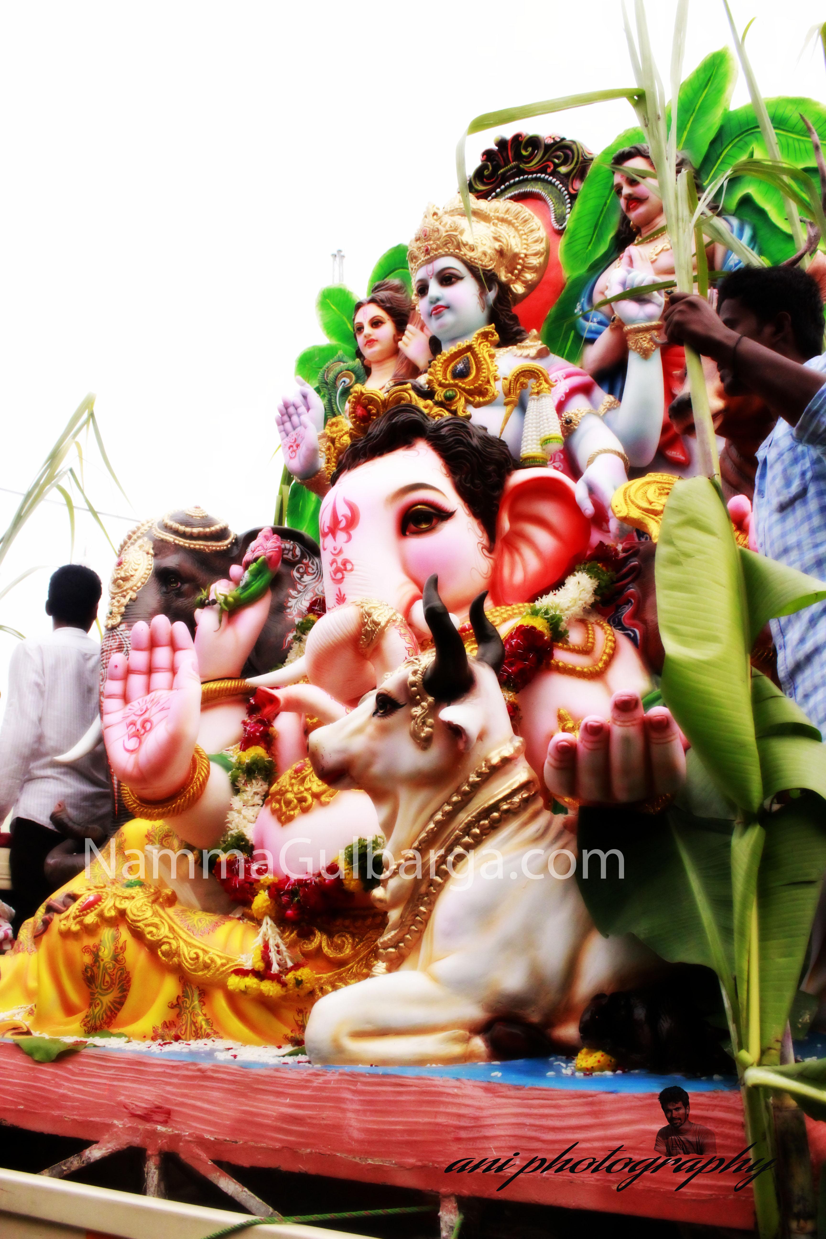 Kalaburagig Ganesh (12)